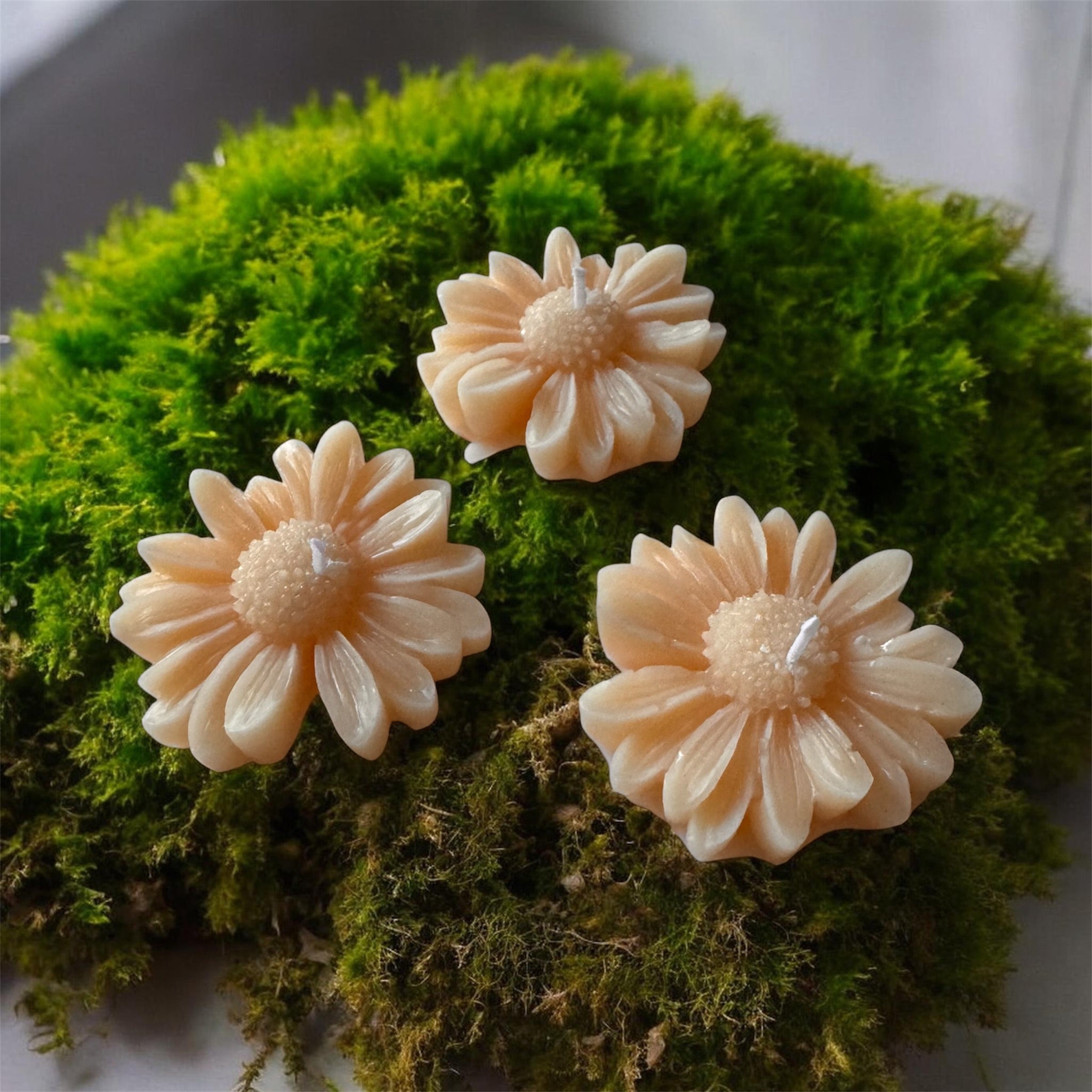 Daisy Shaped Scented Candles
